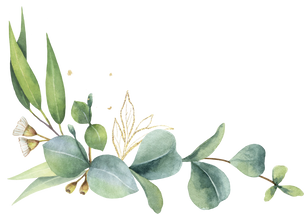 Green watercolor wreath. Eucalyptus leaves.