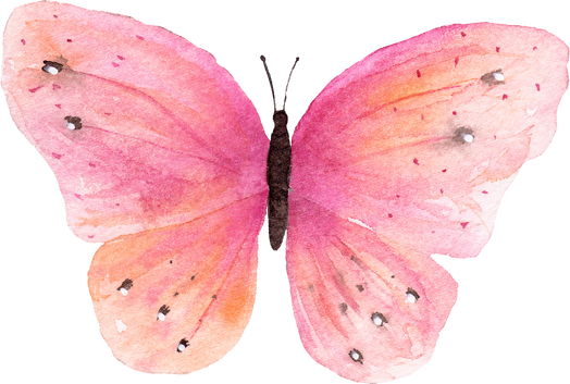 Watercolor Butterfly Clipart