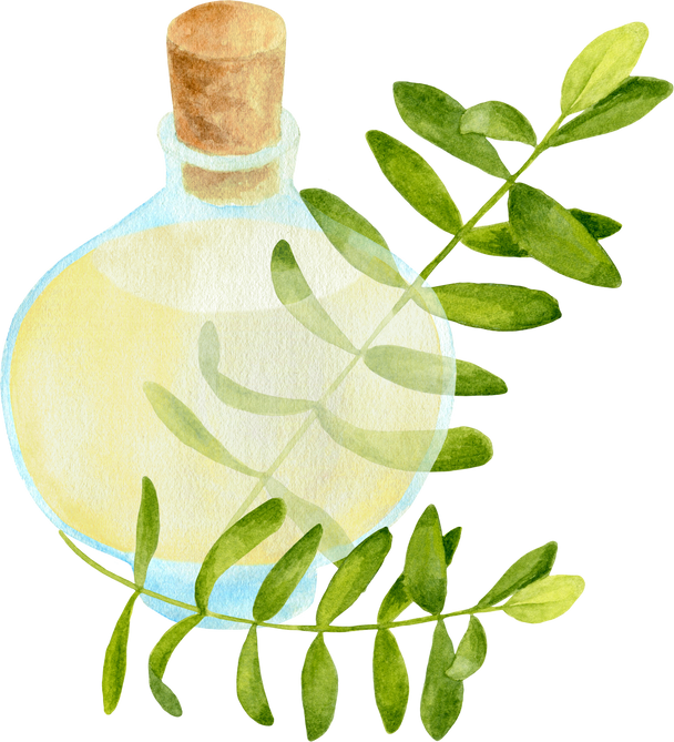 Watercolor glass bottle with essential oil illustration