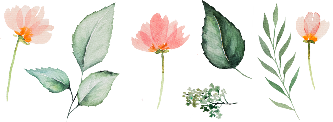 Flowers and Leaves Watercolor Illustration Cutout