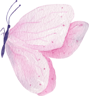 Watercolor Butterfly Clipart